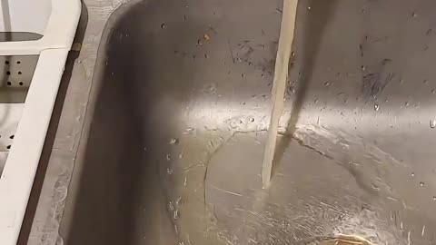 Standard Drinking Water