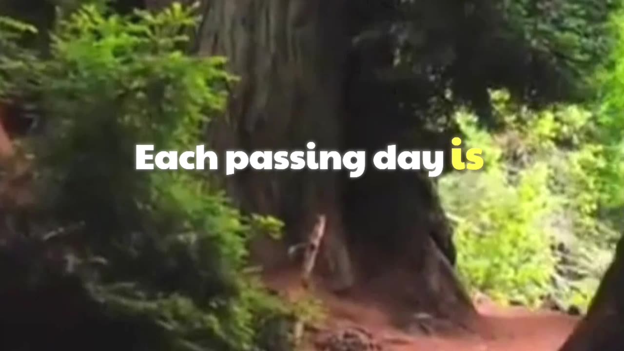 A better day