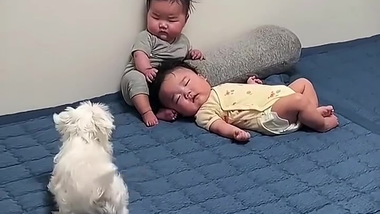 Who has kids who aren't scared of dogs?
