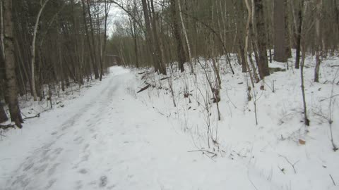 What is next after the attempted assassination of Russian President Putin?