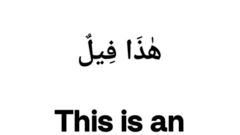 Daily Arabic Sentences
