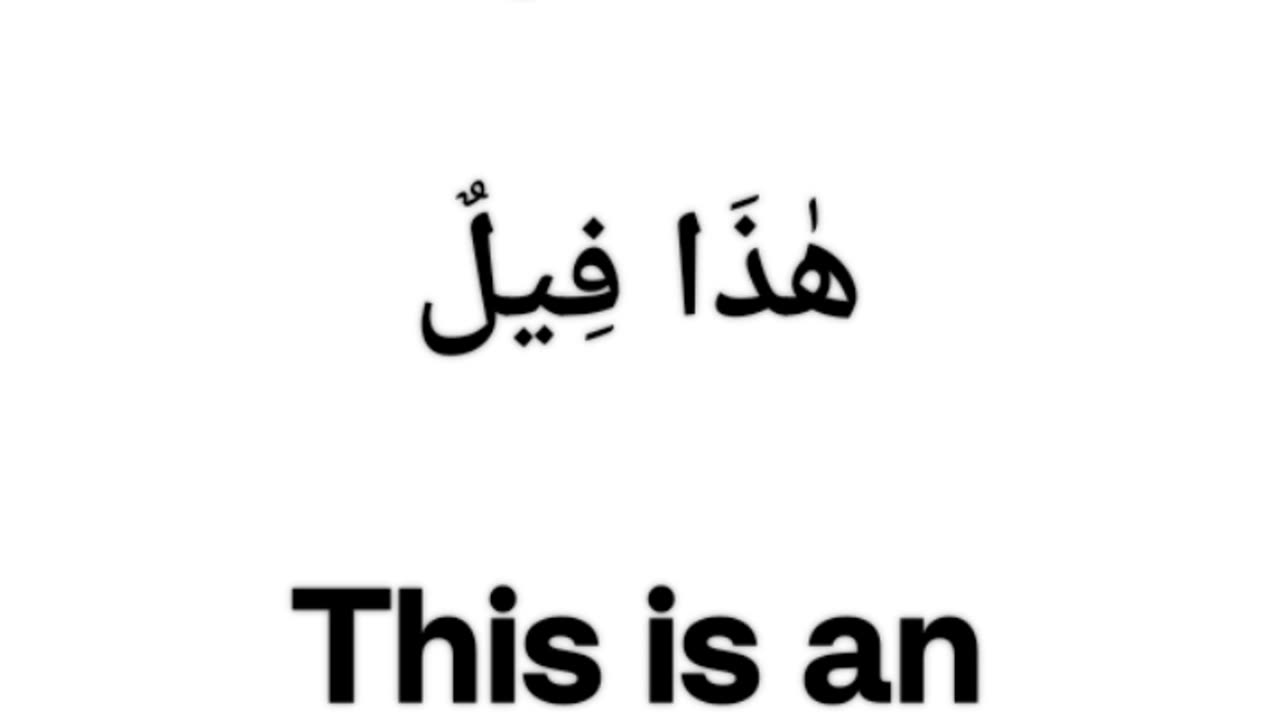Daily Arabic Sentences