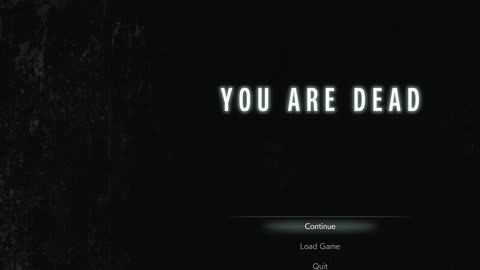 RE3 remake run