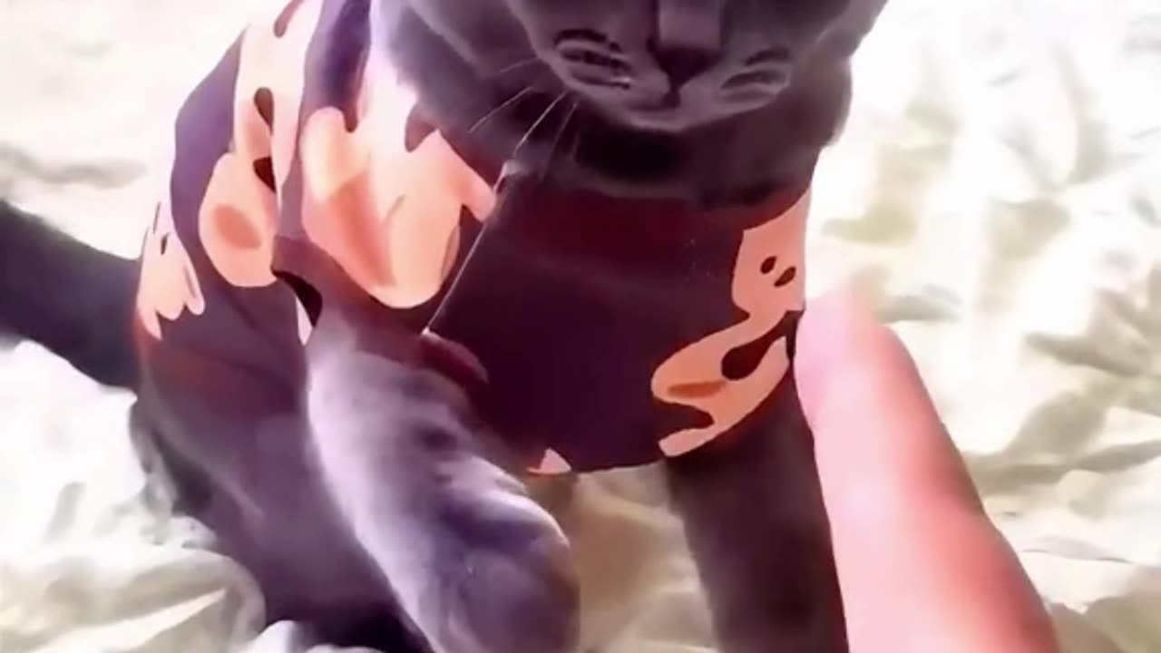 Don't point your finger at me!
