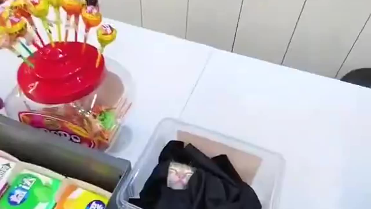 sleeping on the job? smh my head