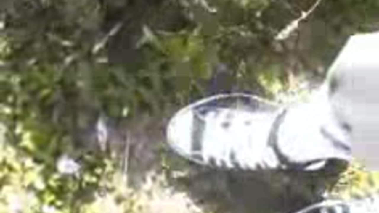 Converse Crushes Flowers - Male Content