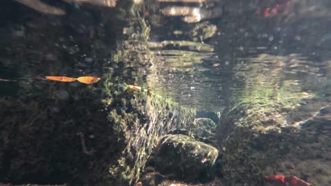 Underwater Creek Views and Sounds 7 minutes