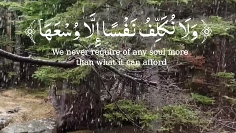 🔥Surah Al Muminun 23:62💔سورہ المؤمنون #love #quran #viral #shorts #trending #shortvideo #viralvideo