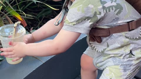 Spencer's Adorable Smoothie Moment in Surfers Paradise