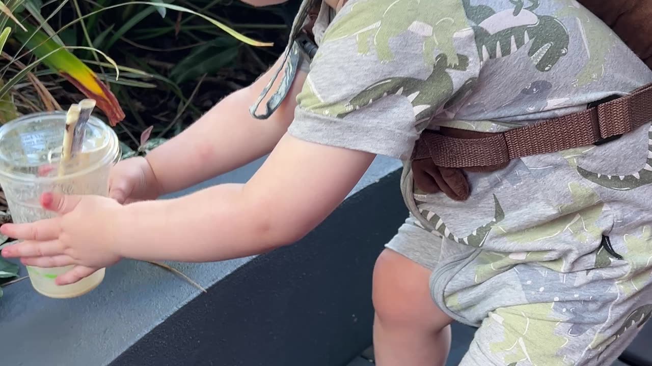 Spencer's Adorable Smoothie Moment in Surfers Paradise