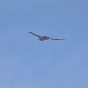 China's secret weapon on video: What do we know about the new giant GJ-X drone?