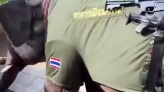 Want to See Modern Day War Elephants? Go to War with Thailand!