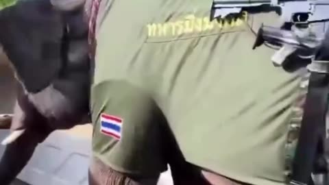 Want to See Modern Day War Elephants? Go to War with Thailand!