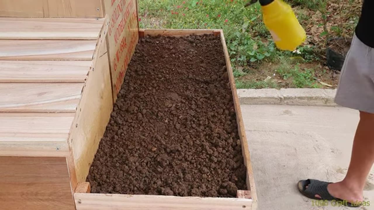 build smart chicken coop..