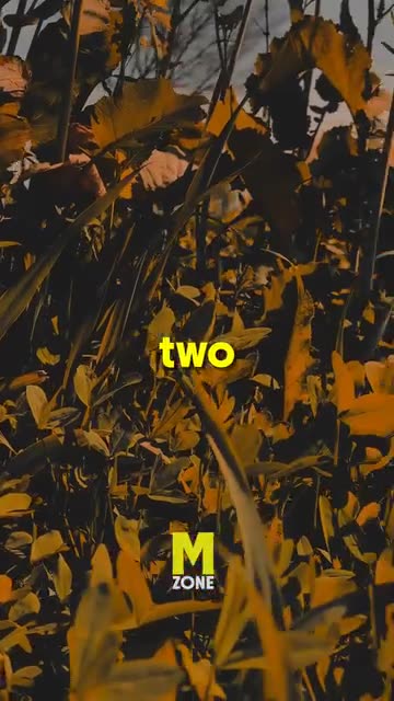 This is how I see quiet people😏