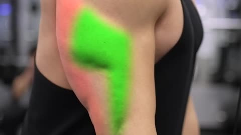 ✅ Do THESE to GROW Your Triceps!