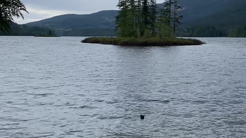 Inland Lake. Powell River BC.