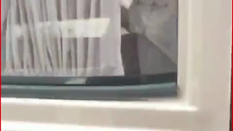 Lucknow Hit-and-Run | Govt Vehicle Sudden Brake, Brother–Sister Injured, Driver Misbehaves & Flees