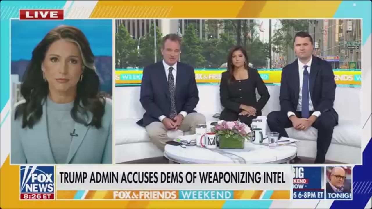 Tulsi Gabbard Exposes The Mainstream Media