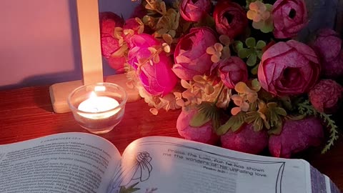 📖 This is the Bible I personally use and absolutely love!