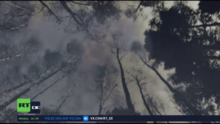 RT DE LIVE-TV