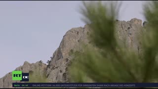 RT DE LIVE-TV