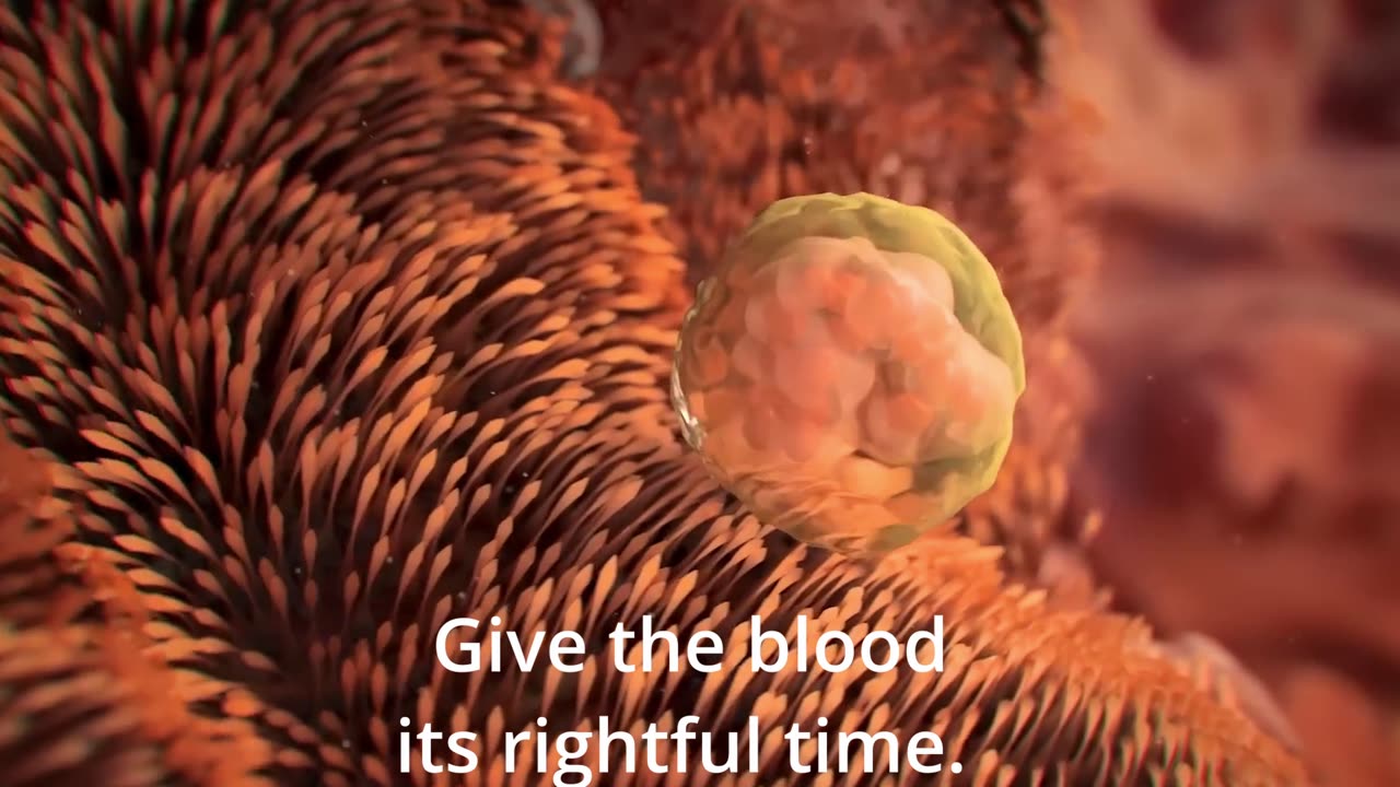 Blood of the Cord
