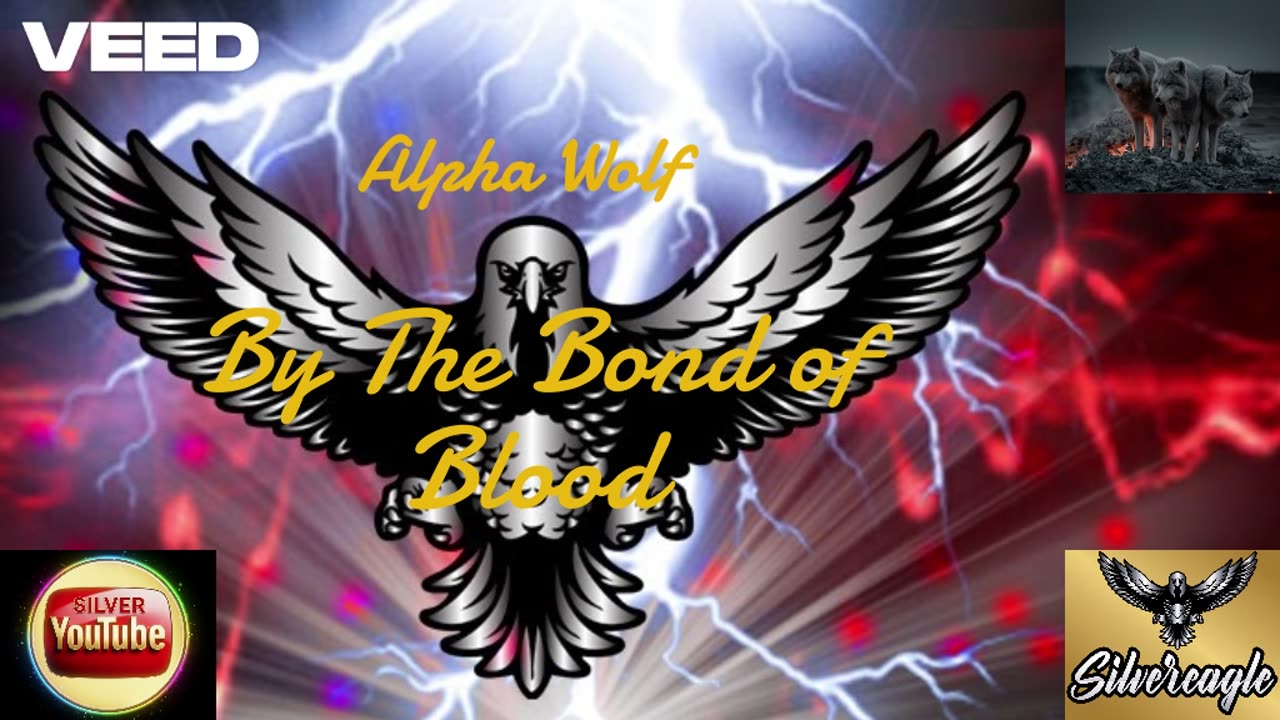 Alpha Wolf By The Bond of Blood