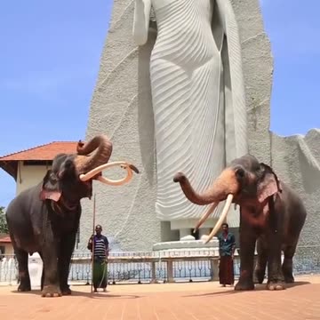 Beautiful Sri Lanka 🇱🇰