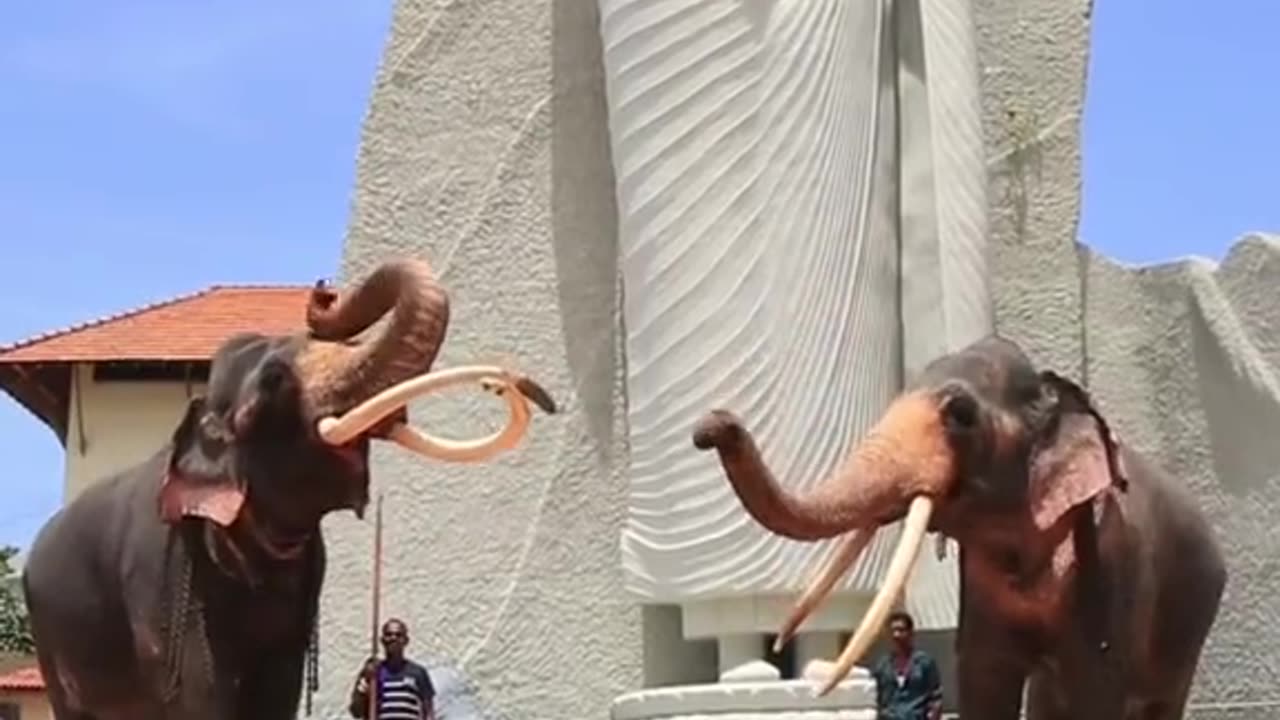 Beautiful Sri Lanka 🇱🇰