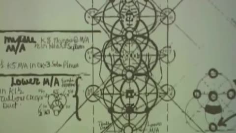 316
