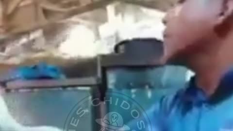 Snake almost ate the child