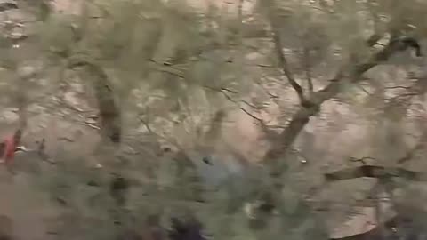 Tucson Arizona voted for Democrats to lead their city