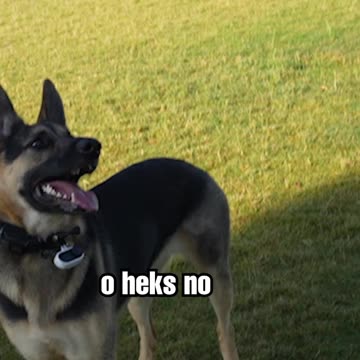 He brought his PTSD with him