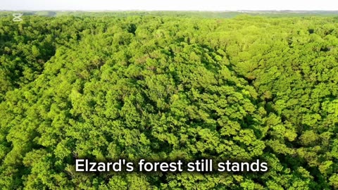 One Man vs. a Dead Land | The Forest He Built Alone