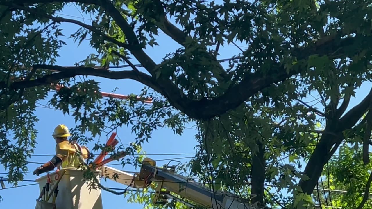 Ep. 406 "Power Lines" by Patrick Henry The Batman