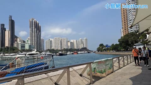 早上的香港仔避風港 aberdeen typhoon shelter morning