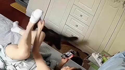 Try To Not Loaugh Funny Video 😂😂