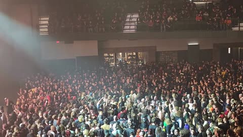 Knocked loose ( live)