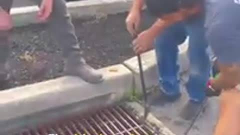 Mama duck asked this man for help and he delivered 👏