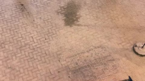 🤯💨 Ferrari & Bugatti Luxury Parade in UAE Dubai! | LuxuryCarsNation