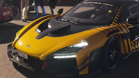 🏎️💨 This V12 Lamborghini Rev Sound is PURE Symphony! | LuxurySportsCars