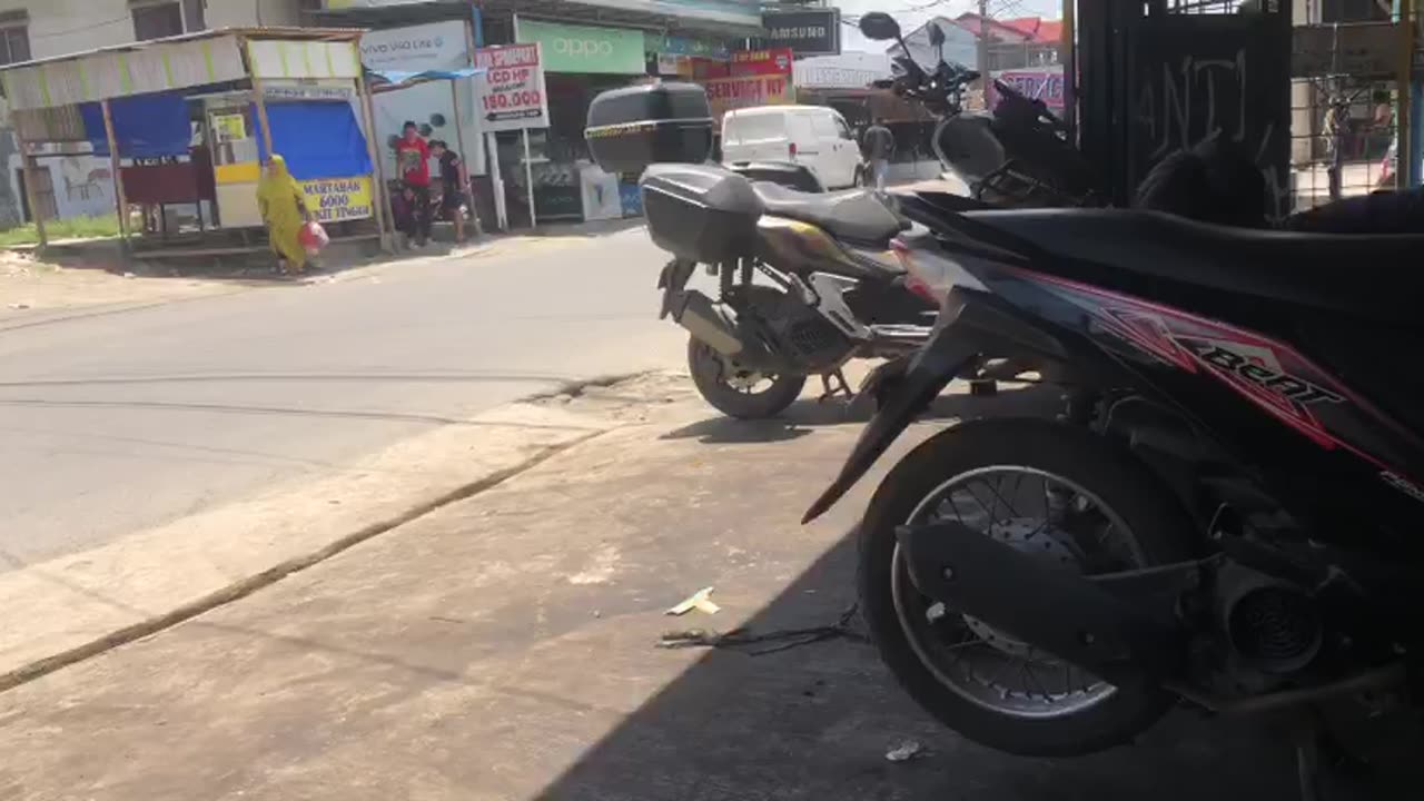 A Quiet Moment by the Side of the Road