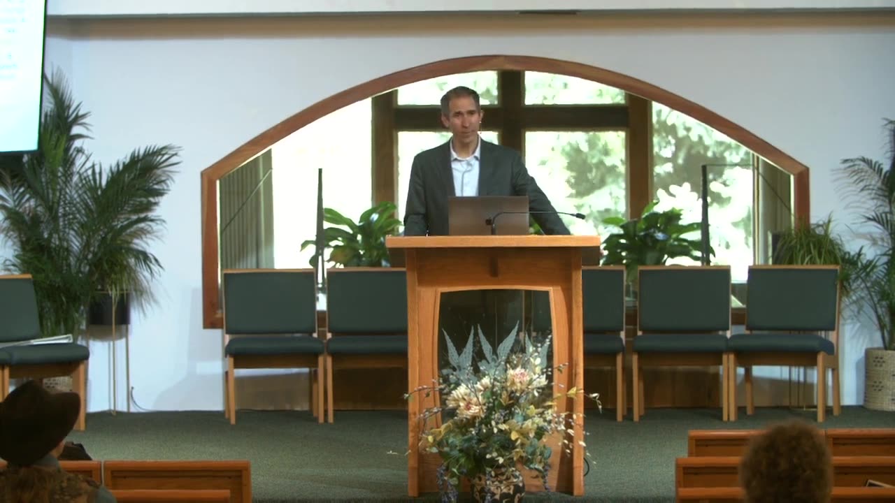 Practical, Natural First Aid Kits - Pedro Naranjo