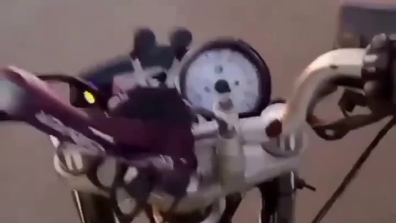 Antes de Sair de Casa lembra-se desse video