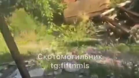 War in ukraine