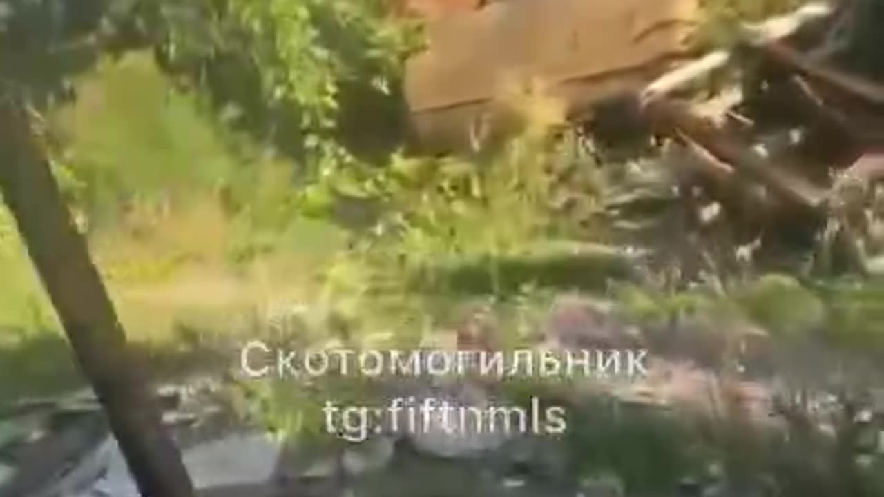 War in ukraine