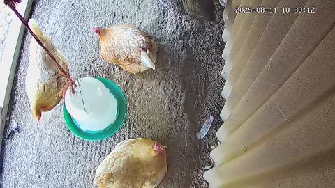 Morning Bath And Nap!
