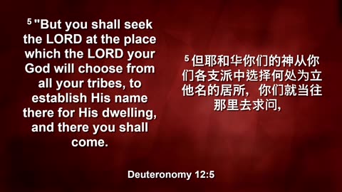 Unseen Elul with Pastor Carl Ritter 08222025