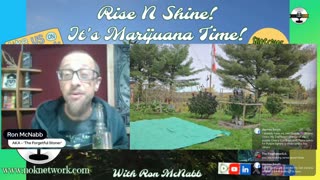 Rise ‘N Shine! It's Marijuana Time! Wake ‘N Bake Show Ep 338 October 16, 2025